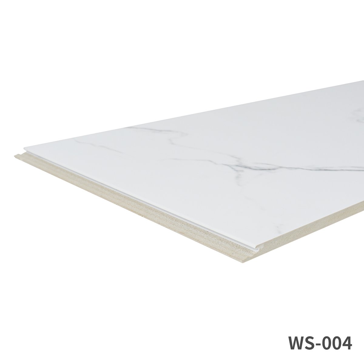 Unique Design Corridor Composite WPC Wall Panel